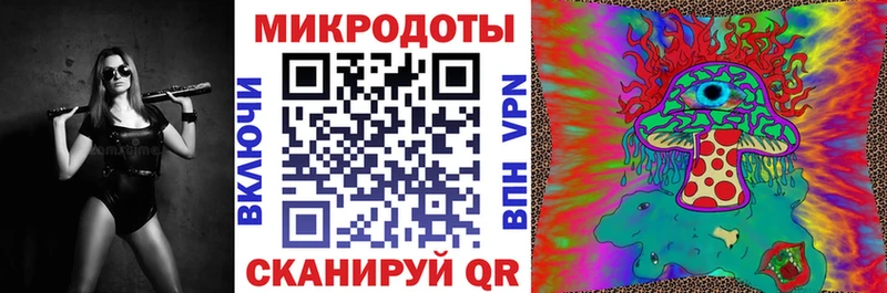 shop наркотические препараты  Цоци-Юрт  Псилоцибиновые грибы Psilocybine cubensis  магазин продажи наркотиков 